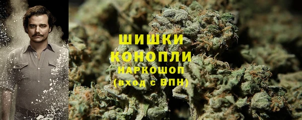 сатива Вязники