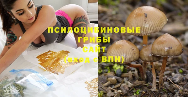 сатива Вязники