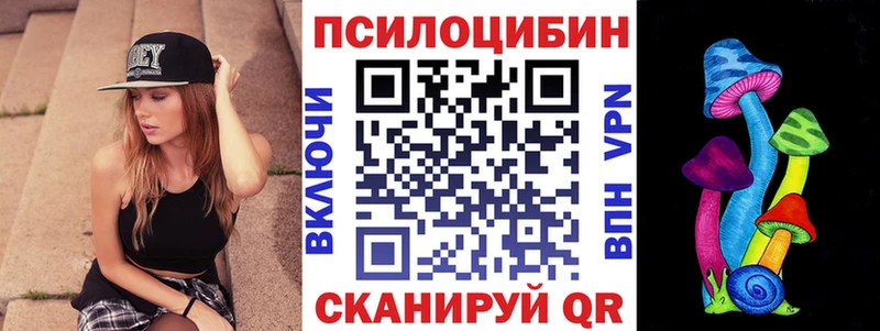 Галлюциногенные грибы Psilocybe  Купить где  Медвежьегорск 